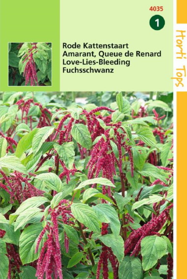 Fuchsschwanz Rot (Amaranthus) 1500 Samen
